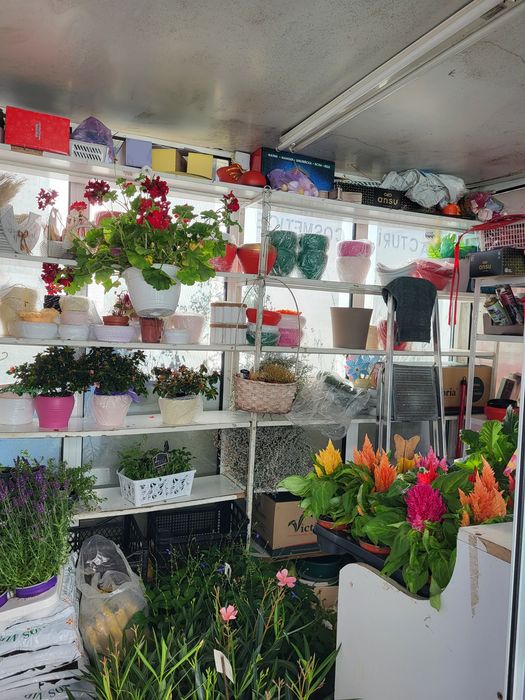 Vand spatiu comercial