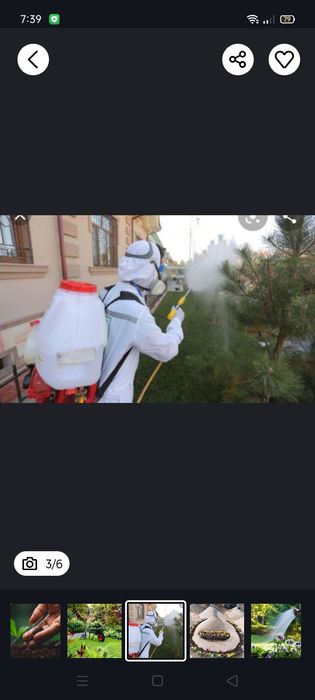 Богбон хизмати Садовник