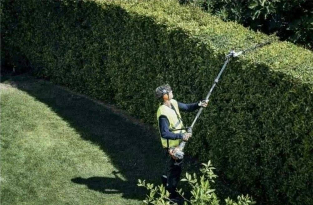 Curatam terene tudem pom