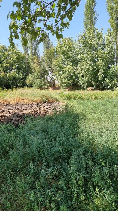 Прадётся участка