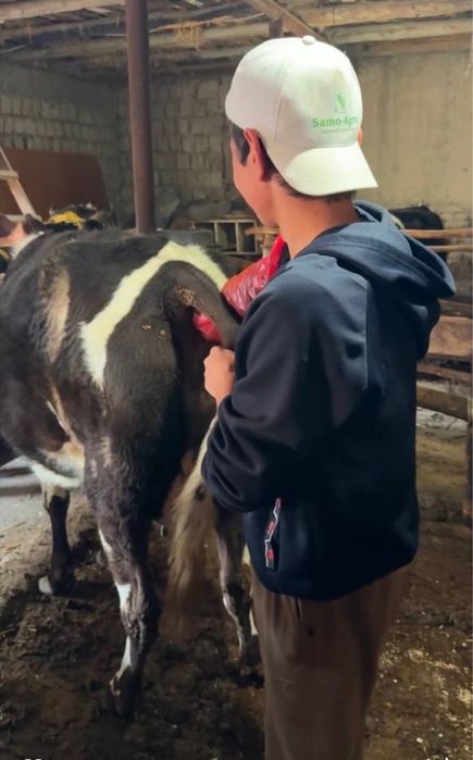 Veterinariya xizmati 24/7 aloqada