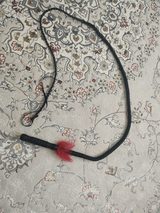 Продам новый кнут,бичик