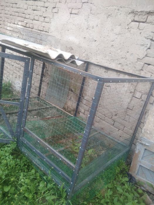 Кафас сотилади товуклар бокишга