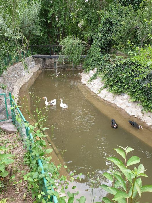 Летняя резиденция в Чингельды 1,23 ГА