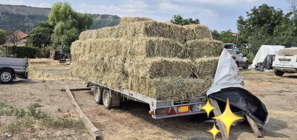 Producator-Baloti PAIE de GRÂU si ORZOAICĂ