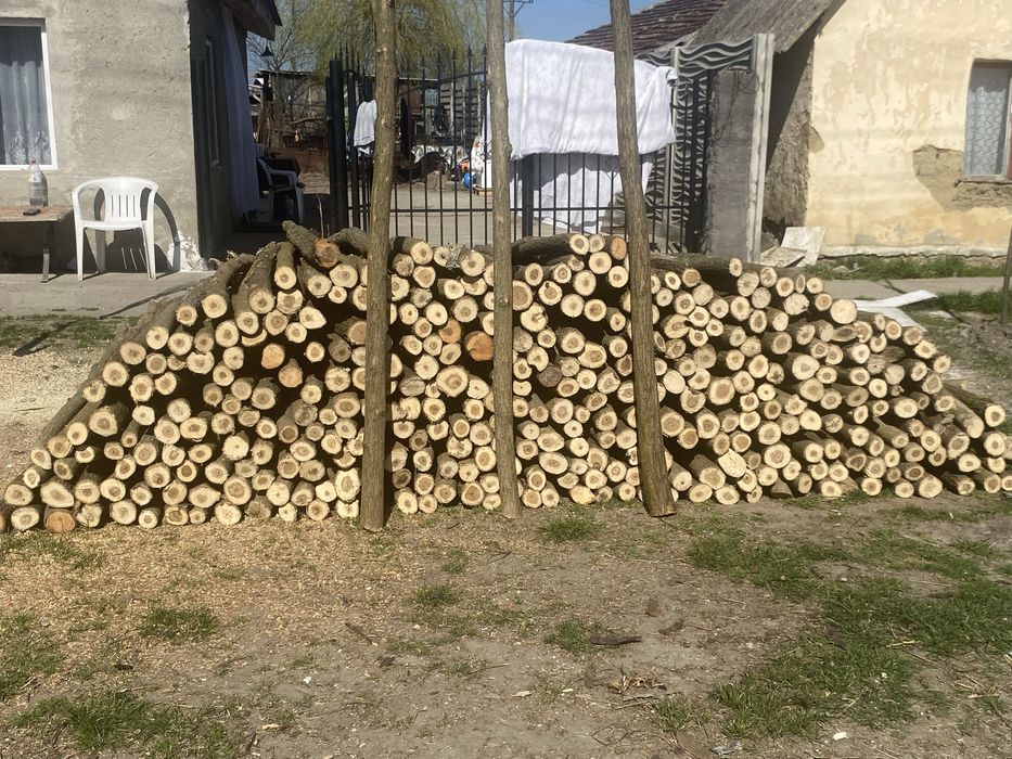Pari sau stalpi de gard electric