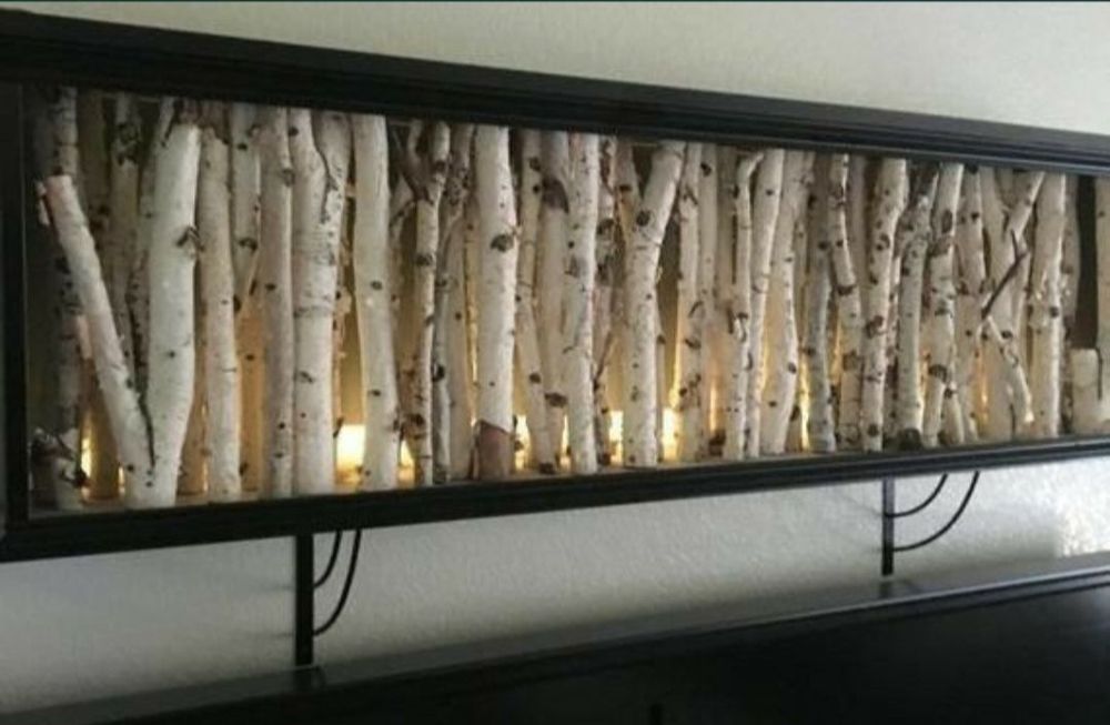 Mesteacan trunchiuri , crengi , rondele pt design sau aranjamente