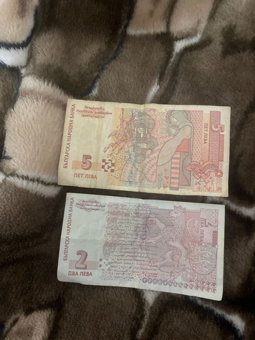 Money Collection
