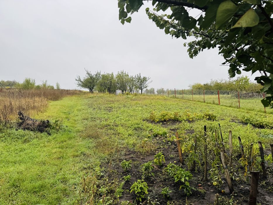 Casa Dezmir cu 10 arii de teren