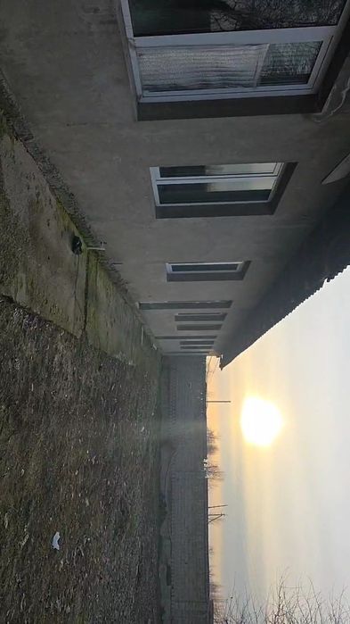 Сотувга чорва учун ферма