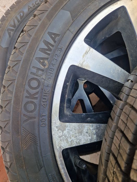 Диска балон малибу 1 дан ечилган