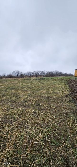 Teren intravilan Chicerea - Tomesti - 656 mp + acces, lângă pădure