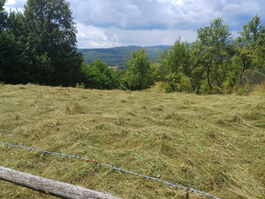 Teren de vânzare intravilan
