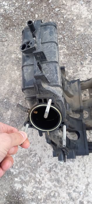 Коллектор (паук)на приору