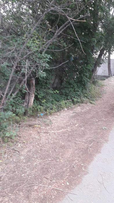 участок 26 соток  в Тастыбулаке