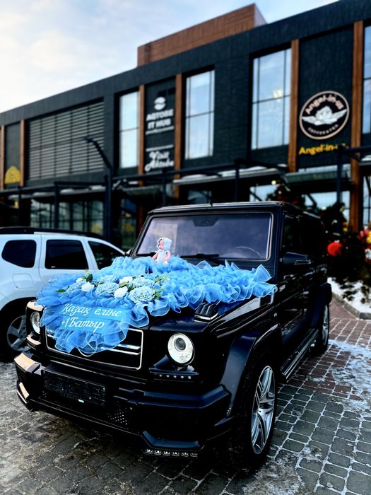 Оформление выписка машина