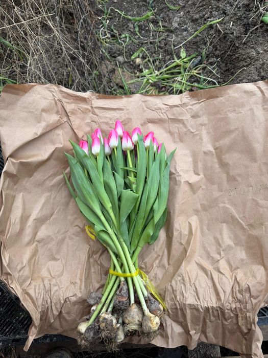 Букет тюльпаны королевские