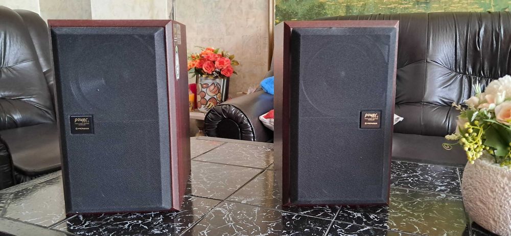 Hi-Fi тонколони  Pioneer S-F21