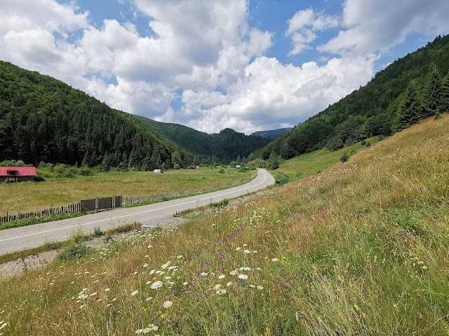 Vand teren Campul Mielului ( Campul lui Neag )