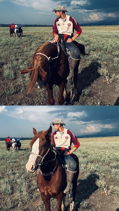 Алдыңғы көкпар ат