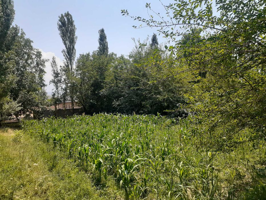 продается участка в Aнгрене