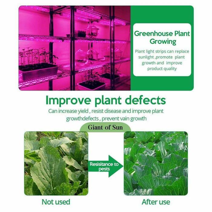 Iluminare UV solar cu panou solar pt cresterea plantelor Noaptea!