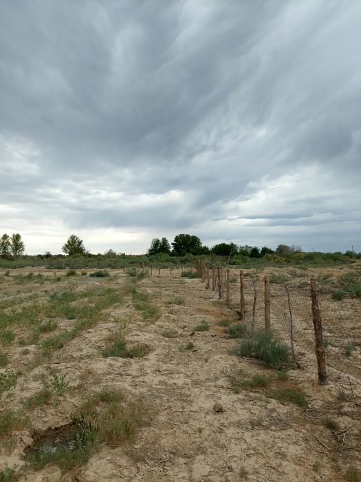 Домостройтельный