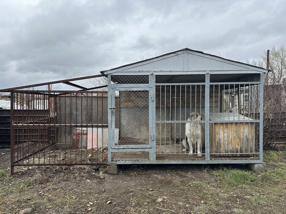 Продаю вольер в месте алабая