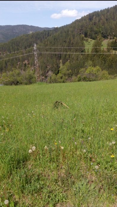 Продава се Земеделски имот в с. Момчиловци, Област Смолян -  кв.м за 32640 €/дка - Снимка #4