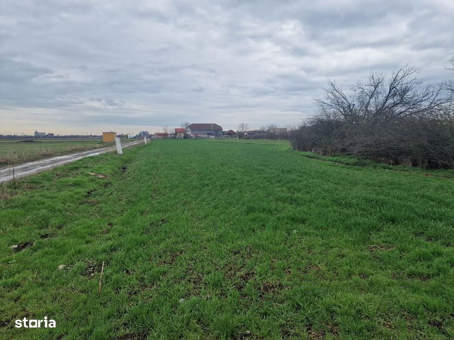Teren intravilan Fundulea 1.000 mp | Parcelabil  | Utilități