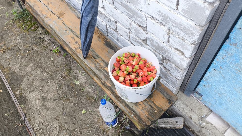 Продам дачу сад Здоровье