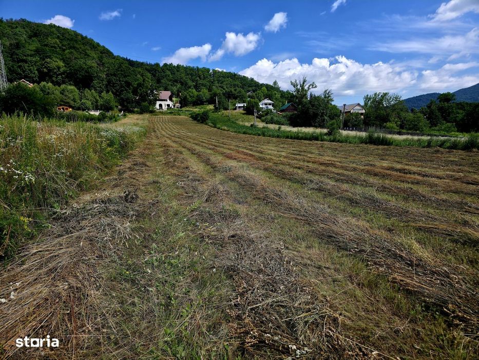 Teren 600mp Viisoara / Strada Primaverii