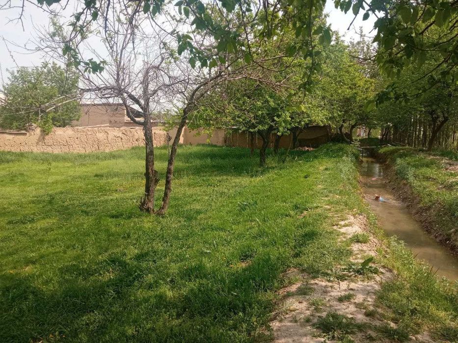 Срочно ховли сотилади