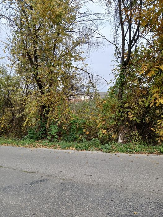 Продава се Парцел в Кюстендил, Център - 1000 кв.м за 50 €/кв.м - Снимка #3