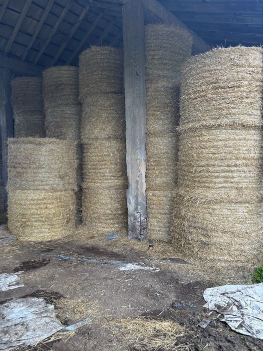 ролони бали слама