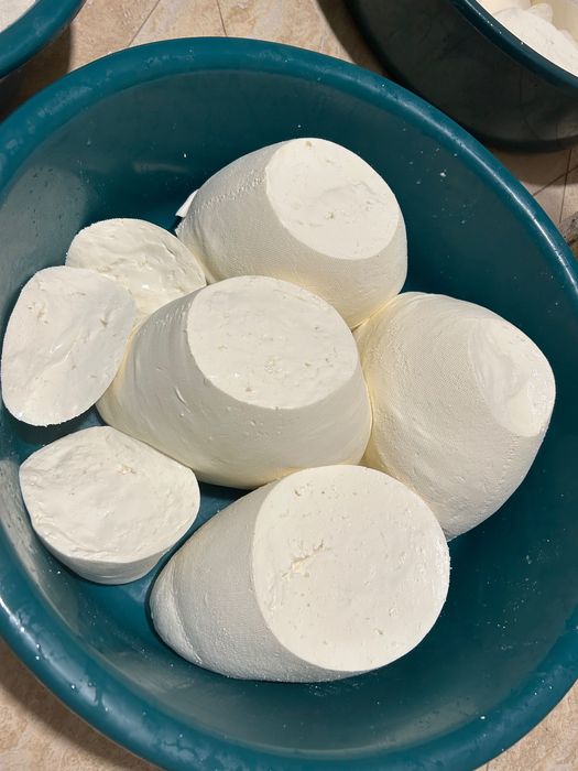 Branza de vacă , produs natural și de calitate