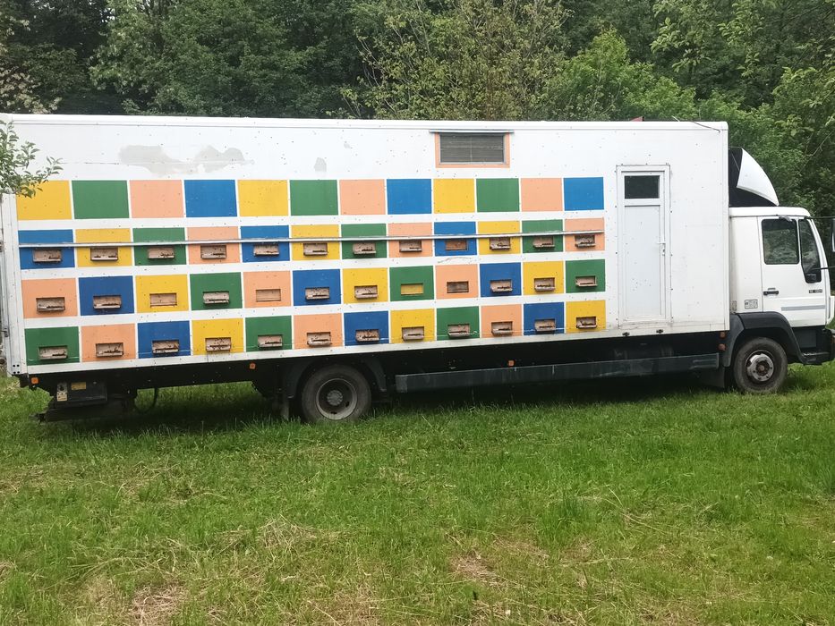 Miere de albine naturală 100%