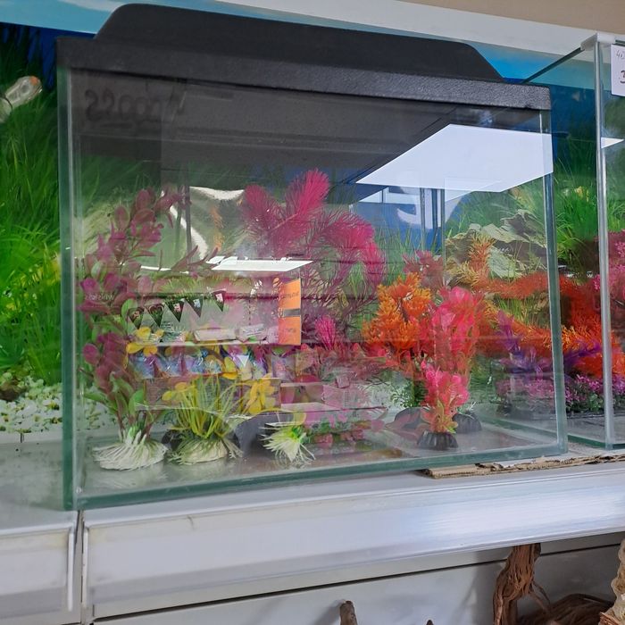 Продам аквариумы новые