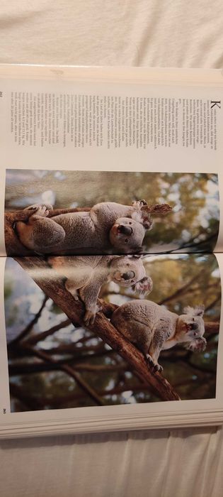 Немски език енциклопедии