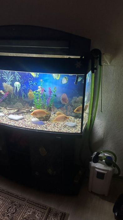 Аквариум 200 литрок