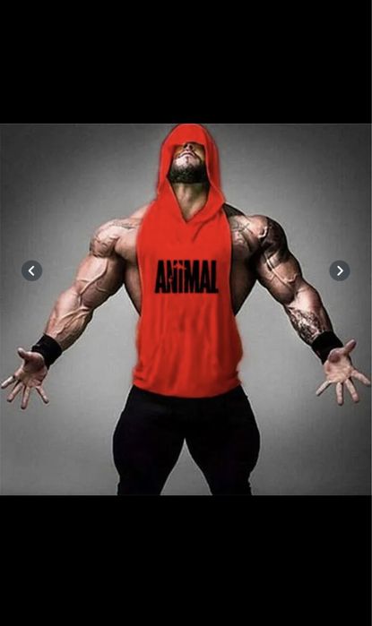 Maieu Fitness.Model Special.