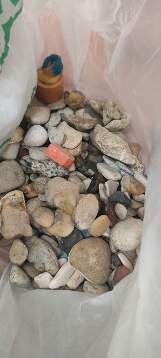 Аквариум с набором