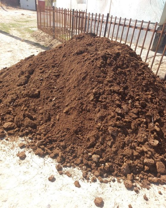 Көн кара шірік [навоз]