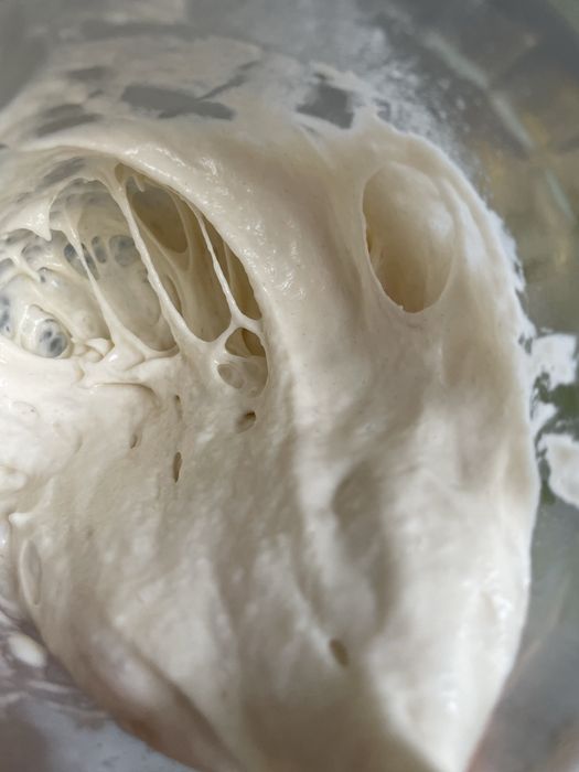 Maia salbatica activa