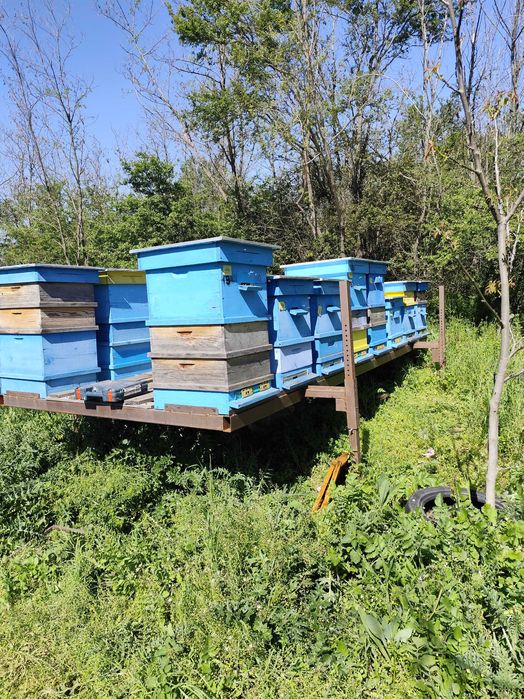 Пчеларска платформа