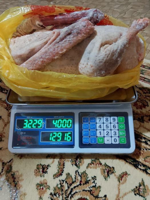 Продам домашних гусей