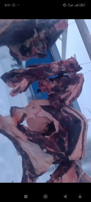 (Капчены) Сүр ет