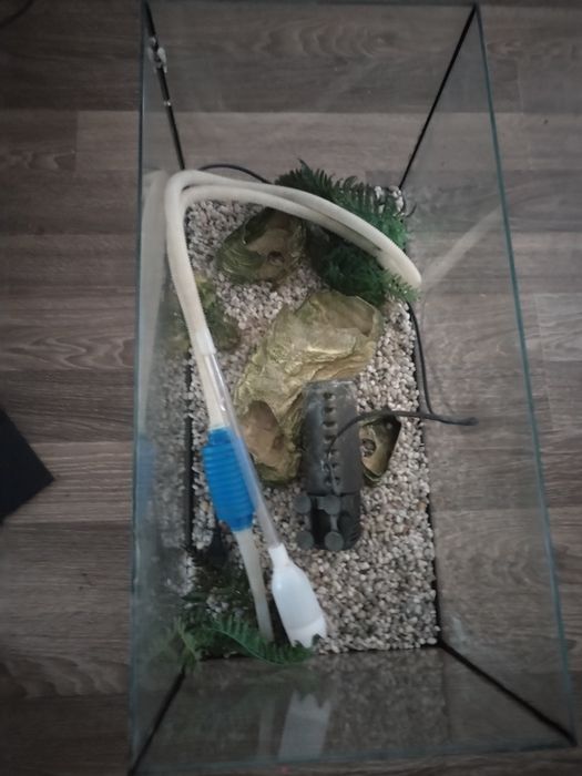 Acvariu de 60 litri