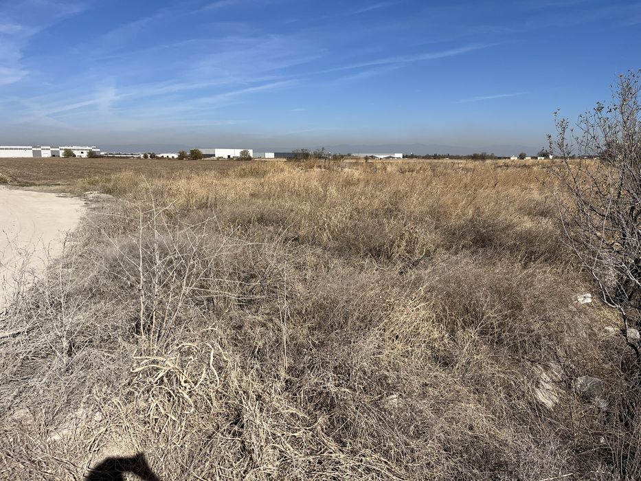 Продава се Земеделски имот в Асеновград -  кв.м за 23 €/дка - Снимка #2