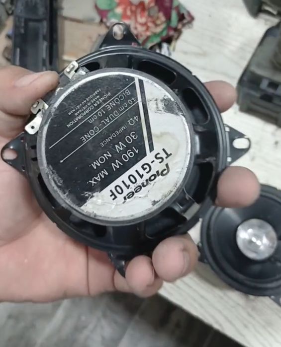 Pioner 10sm arginal kalonka